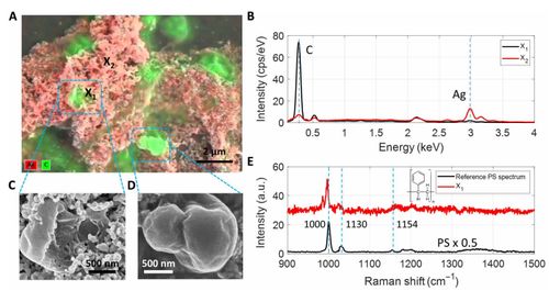 科學家研發氣泡沉積技術，首次揭示海水中納米塑料的形態