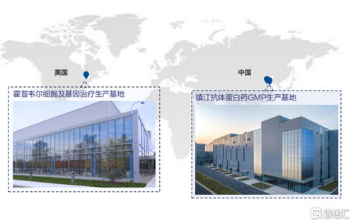 金斯瑞生物科技 營收大增81.9%，經調凈利增速超5倍，展現卓越盈利韌性