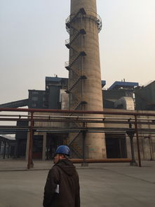 經(jīng)驗豐富的亳州市煙囪旋轉(zhuǎn)爬梯安裝與建筑物清潔服務(wù)